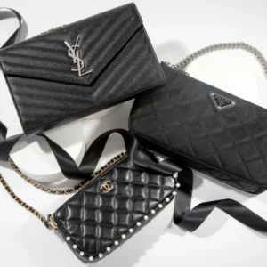 Louis Vuitton Luxury Bag