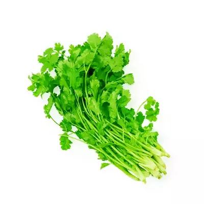 Coriander Leaves (Dhonia Pata) ,10 gm
